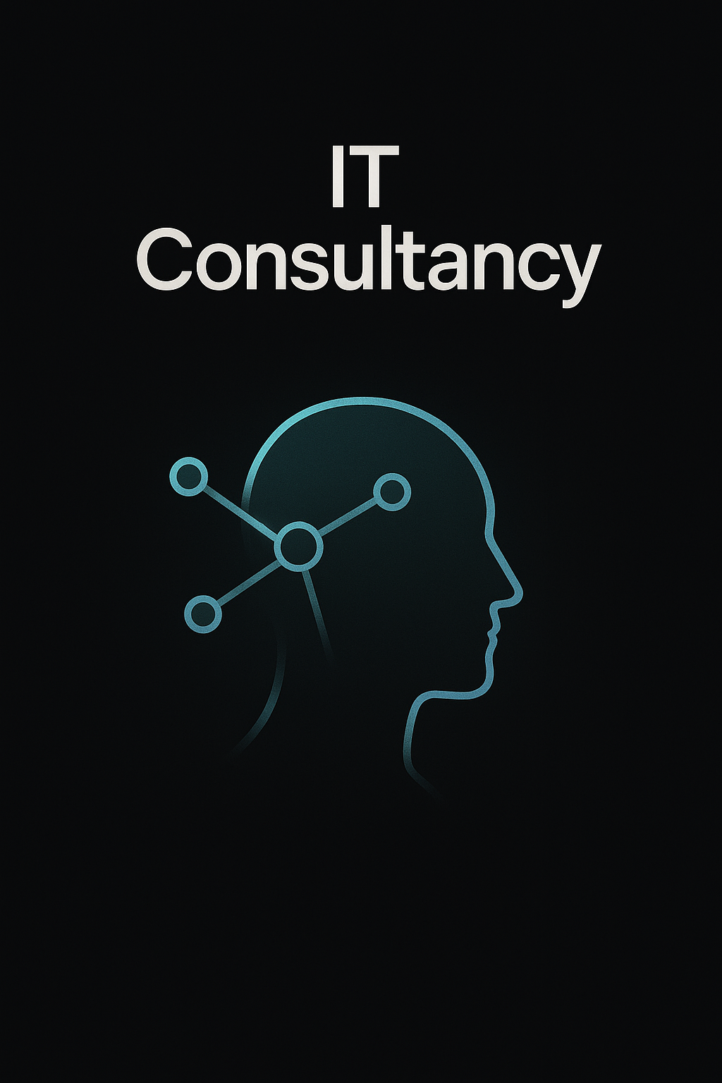 IT Consultancy